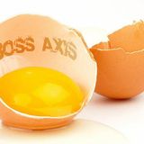 Forgotten Eggs