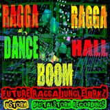 RAGGA-RAGGA-DANCEHALL-BOOM-FUTURE RAGGA JUNGLE BRKZ - BSTORM - I AM A WARRIOR!!