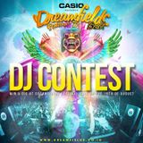 DREAMFIELDS BALI EDM FESTIVAL DJ COMPETITON- TOBIAS HARTMANN