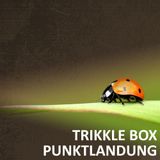 Trikkle Box - Punktlandung