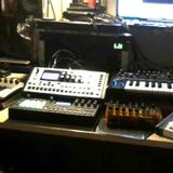 analog species accent
