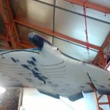 Satellites