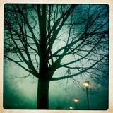 mR_BLACk - Winter Prelude