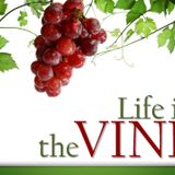 Abiding in Christ