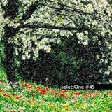 seleciOne #45