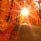 Dj FloVeegas - House Mix Oktober