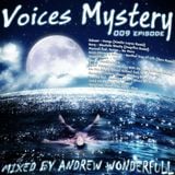 Andrew Wonderfull - Voices mystery 009 episode
