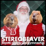 Santa also loves gymnastics mix