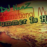 DJ NenZ - Summer Is Here ( Promotional Mix May 2014)