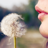 Make a Wish