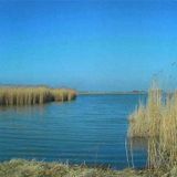 Sound-track to 'Neusiedler See 3'