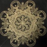 "outofmyhead" mixed by Ivan Gregory (United Records & Sound- SD)