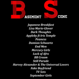 Basement Scene - 20.04.2016