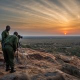 International wildlife crime