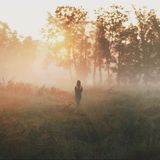 Best of Liquid DnB