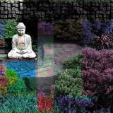 Further Meditations From The Herb Garden