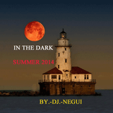 MOKSHA IN THE DARK SESSION SUMMER 2014 BY DJ.-NEGUI