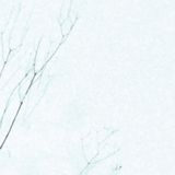 Adata 11.01.16. - tukšā laika pārraide