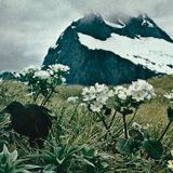 Nature & Beauty vol.2