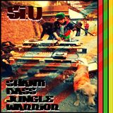 Shanti Bass Podcast 005 - Si:D Jungle Warrior