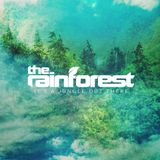 The Rainforest #9 with Nils Feldhus and Binka