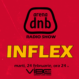 Arena dnb radio show - vibe fm - mixed by INFLEX - February 24th 2015 - DRAGOBETE