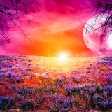 Everything very emotional in me Karolinouchka Trance Mix