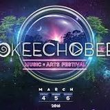 Mixmaster Morris @ Okeechobee Festival pt1