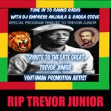 DJ EMPRESS ANJAHLA TRIBUTE TO THE LATE TREVOR JUNIOR JANUARY 27, 2016.mp3