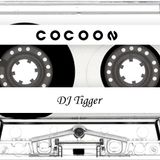 DJ Tigger - Cocoon Style Mash Up Live