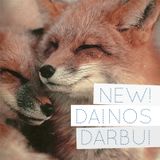 NEW! DAINOS DARBUI: DOVYDAS