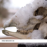 Mixtape #06 WINTER PART I 2010