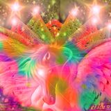 ♪♫♫♪sunnygallop♪♫♫♪