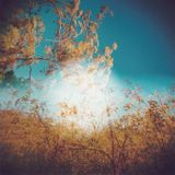 Chris Gavin - Ephemeres sessions Juin 2015 episode 27
