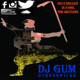 DJ GUM - 2015 ROLLED IN 2 ONE THE MIXTAPE (Bhangra MixTape)