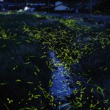 I wanna go to Tokyo! - May 2012