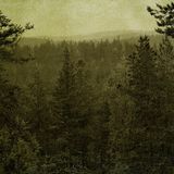 Phantom Circuit #110 - Electronic music from the Phantom Circuit: Tangerine Dream, Cooptrol & more.