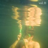 Dougie Boom's Cottage Country Vol. 11