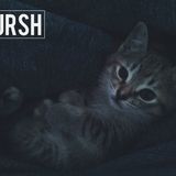 Eursh Whatever Mix VII: Charlie
