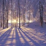 CHARU'S HAPPY HOLIDAY MIX