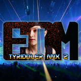 TYRiddler - February 2013 DJ set