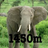 1450m_Moziq_Mix_"Friends"_2012