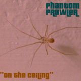 Phantom Prowler - "On The Ceiling" (Downtempo/Dub/Ambient Mix)