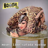 MIXTAPE MOVES LIKE A SAFADA MASHUP BOOTIE RIO
