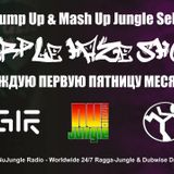 Purple Haze Show – MOZDJ @ NuJungle.Com (11.12.2015)