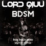Lord Qiuu - BDSM (Brutal DrumStep Mayhem)