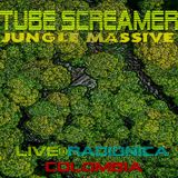 Tube Screamer live @ Radionica Colombia 2015