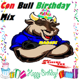 CHIKI TEE - BULL BIRTHDAY MIX