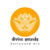 Divine Sounds Bollywood 2009 - 2011