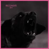 Techno Moods 8 Recondite Special